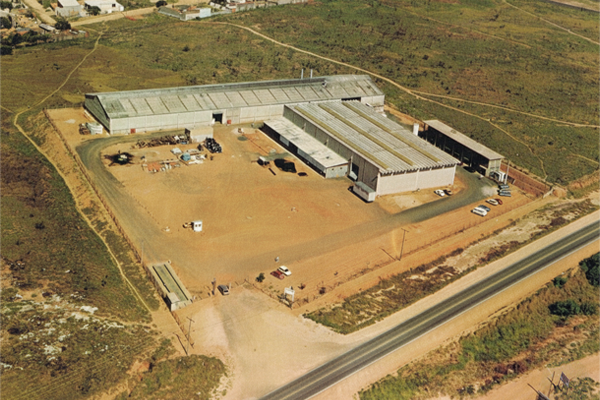 1995 o embrião da empresa